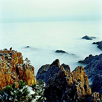 soi cầu miền